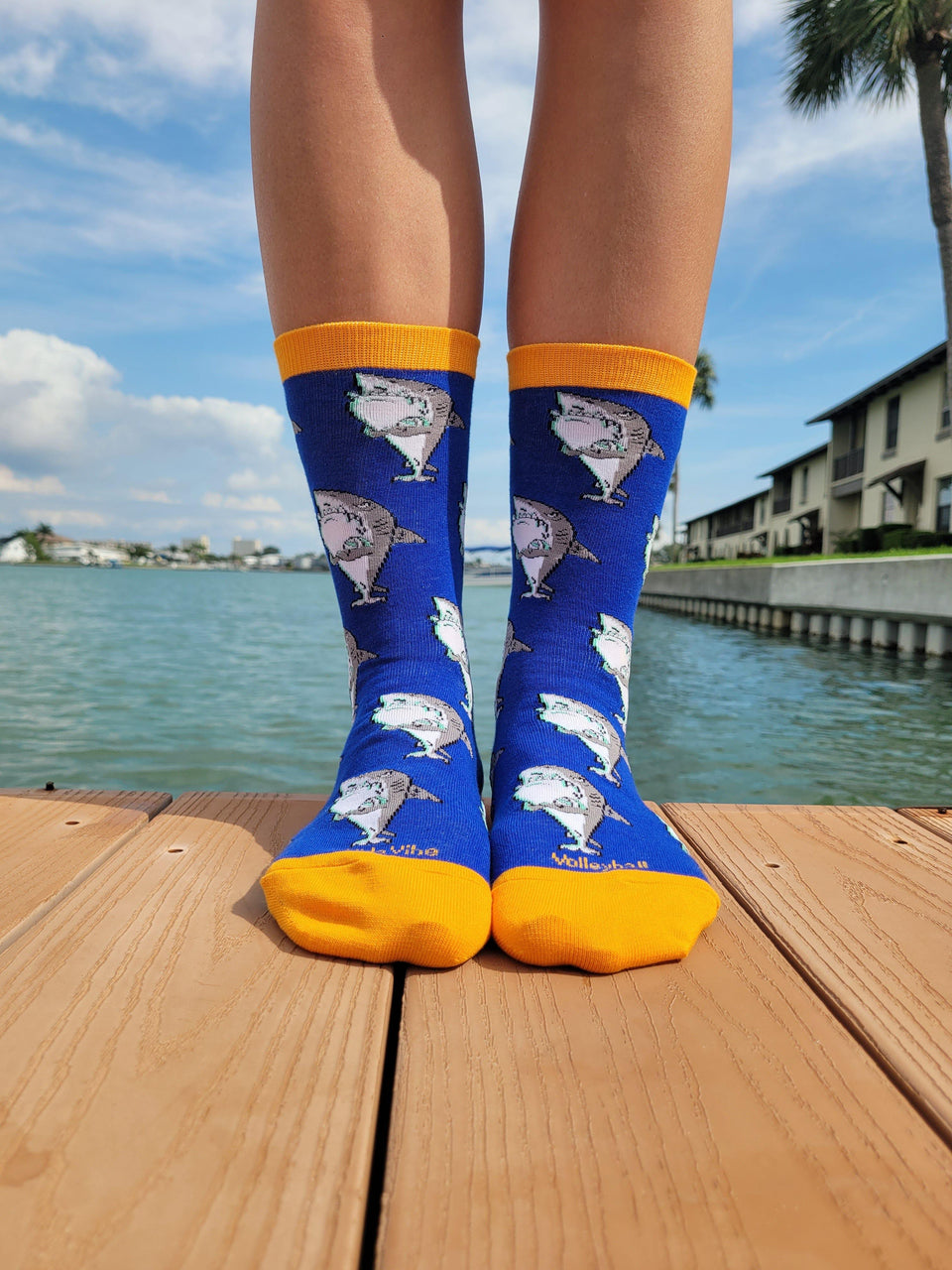 Volleyball Shark Socks - VidaVibe